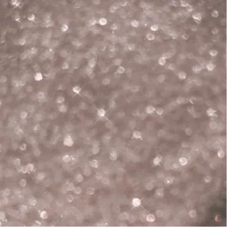 Huile pailletée Spark ✨